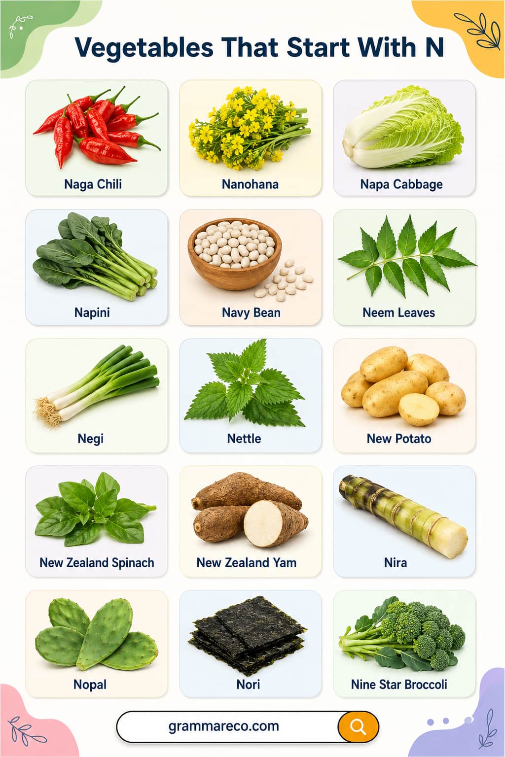 List of Vegetables Starting with N with Pictures