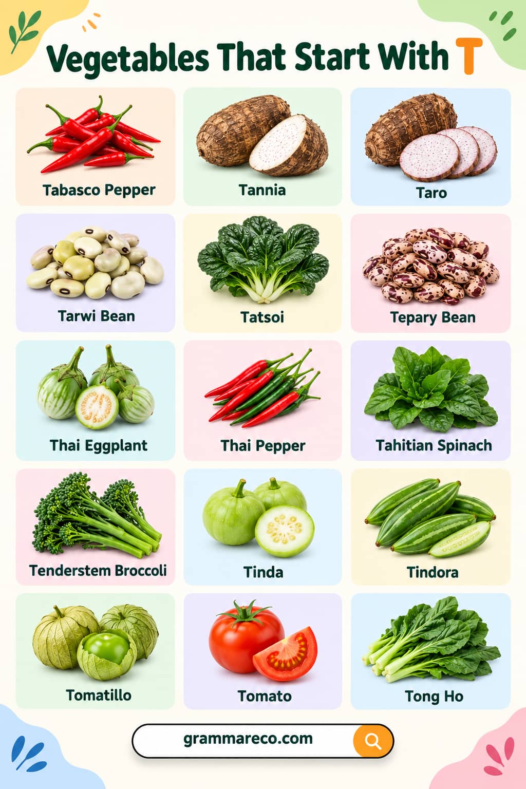 Names of Vegetables that Start with T with Pictures