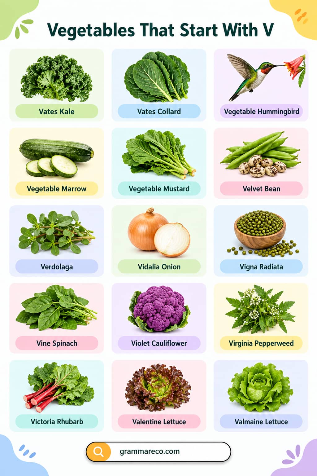 List of Vegetables Starting with V in English