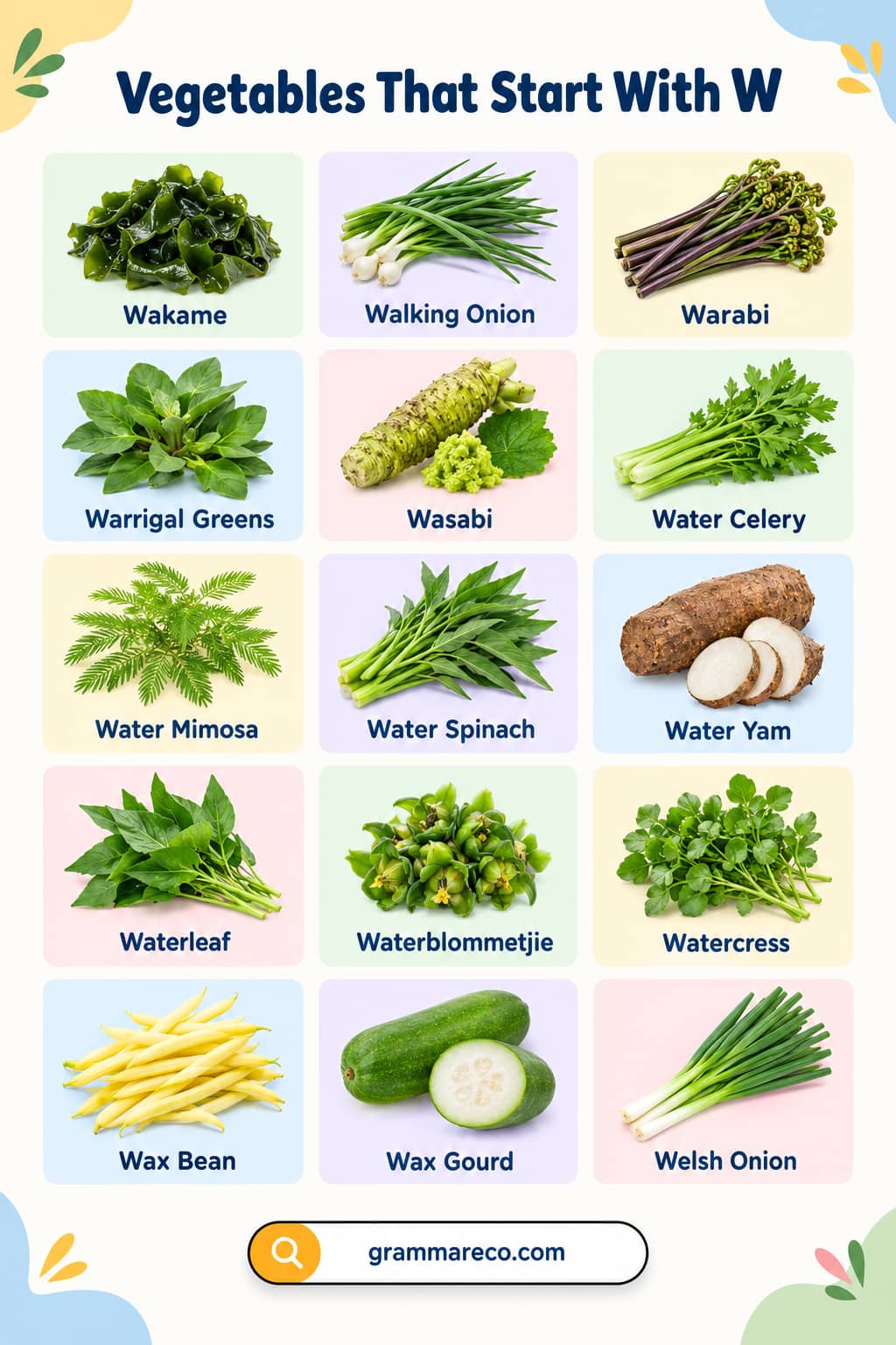 Vegetables that Start with W with Pictures