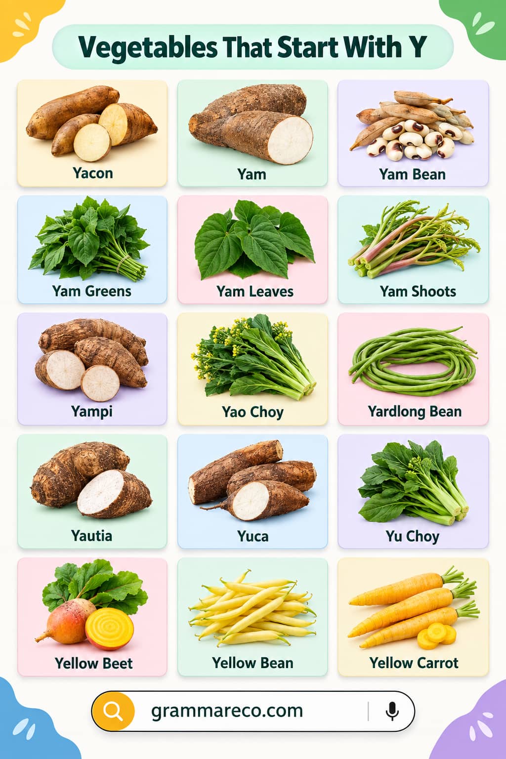 Vegetables that Start with Y with Pictures and Uses