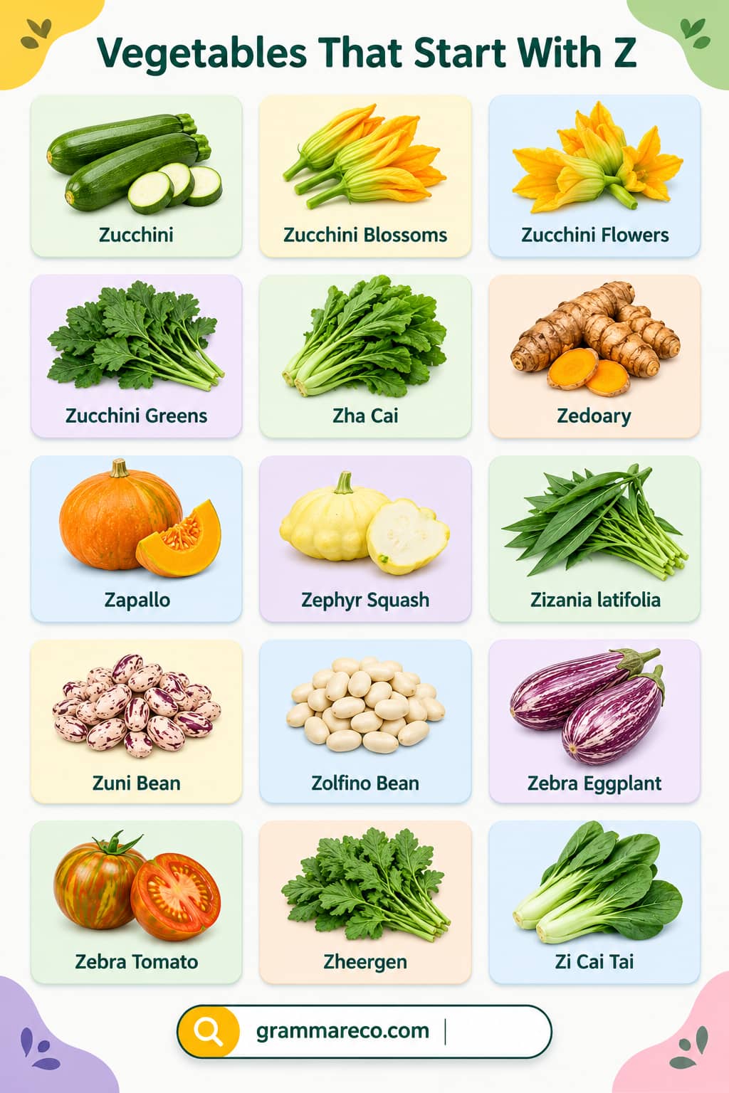 Useful List of Vegetables Starting with Z