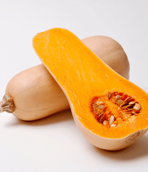 Long Squash - Vegetable Names that Begin with K