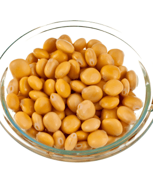 Lablab Bean