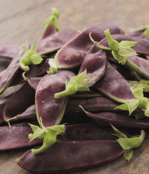Mangetout - Vegetables that start with M