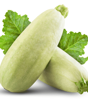 Marrow - Vegetables that start with M