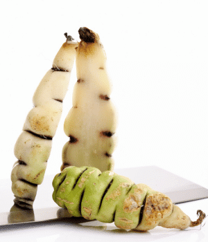 Mashua - Vegetables that start with M