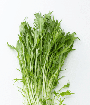 Mizuna - Vegetable Names that Begin with M