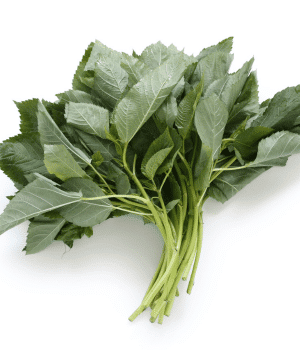 Molokhia - Vegetable Names that Begin with M