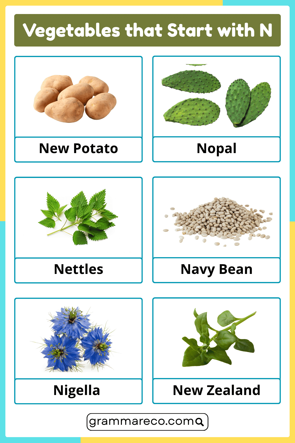 N Vegetable Names and Pictures