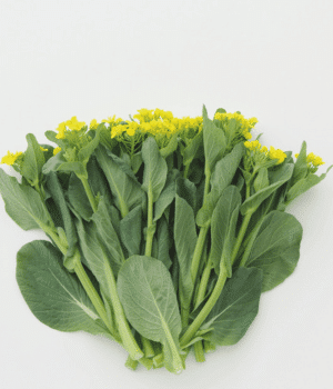 Nanohana - Vegetable Names that start with N