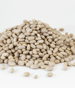 Navy Bean - Vegetables that start with N