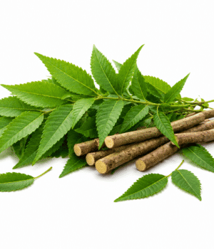 Neem Leaves - Vegetable that start with N