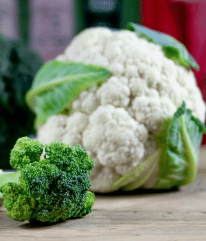 Nine Star Broccoli