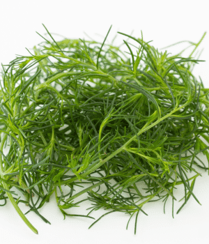 Okahijiki - Vegetables that start with O