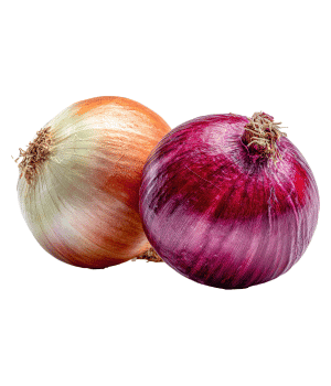 Onion - Bulb Vegetables Names in English