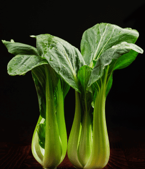 Pak Choi - Vegetables that start with P