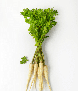 Parsley Root - Vegetables that start with P