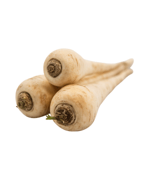 Parsnip - Vegetable that Grow Underground