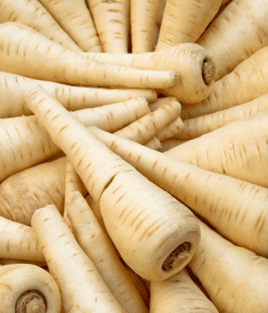 Parsnip - Vegetables that start with P