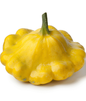 Pattypan Squash - Vegetables that start with P