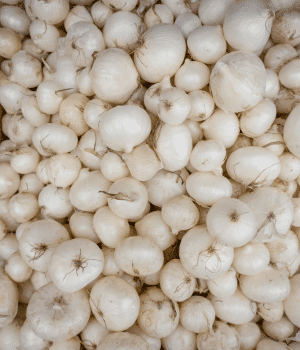 Pearl Onion - Vegetables that start with P