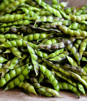 Pigeon Pea - Vegetable Names that Begin with P