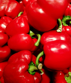 Pimento - Vegetable Names that Begin with P