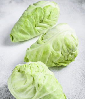 Pointed Cabbage - Vegetable Names that Begin with P