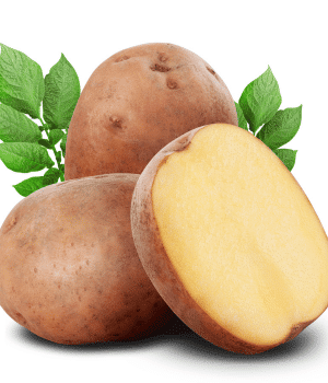 Potato - Vegetable that Grow Underground