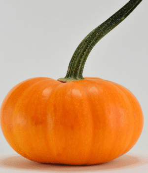 Pumpkin