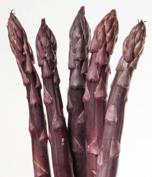 Purple Asparagus