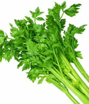 Qin Cai - Vegetables that start with Q
