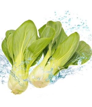 Qing Cai - Vegetables that start with Q
