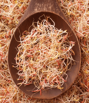 Quinoa Sprouts - Vegetable Names that start with Q
