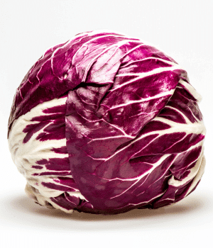 Radicchio - Vegetables that start with R