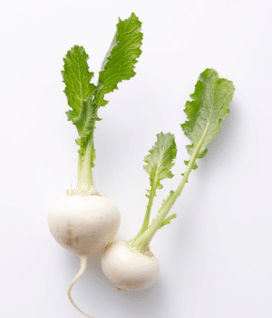 Radish Greens - Vegetables that start with R
