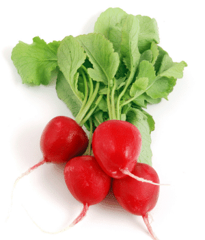 Radish - Vegetable that Grow Underground
