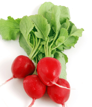 Radish - Vegetables that start with R