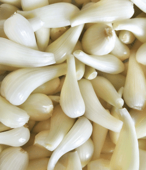 Rakkyo - Vegetables that start with R