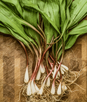 Ramp - Vegetables that start with R