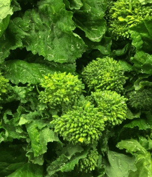Rapini - Vegetables that start with R