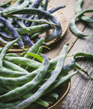 Rattlesnake Beans - Vegetables that start with R