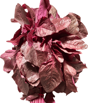 Red Amaranth - Vegetable that Begin with R