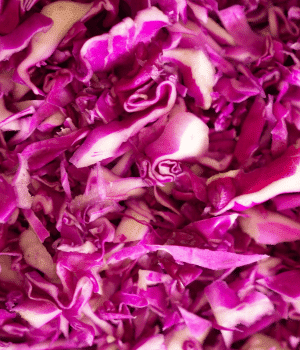 Red Cabbage - Vegetable that Begin with R