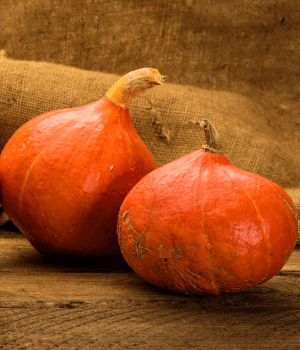 Red Kuri Squash - Vegetable that Begin with R