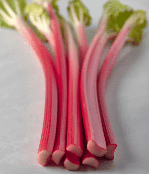 Rhubarb