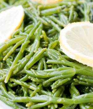 Salicornia - Vegetables that Start with S