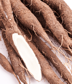 Salsify - Vegetable that Grow Underground