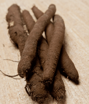 Salsify - Vegetables that Start with S